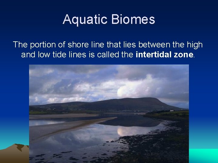 Aquatic Biomes The portion of shore line that lies between the high and low