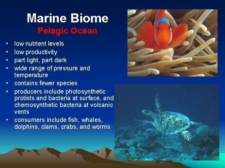 Marine Biome Pelagic Ocean • • low nutrient levels low productivity part light, part