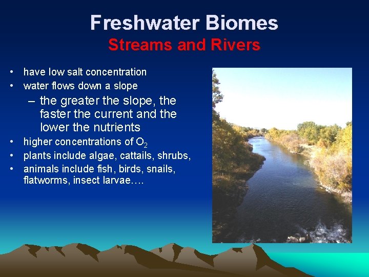 Freshwater Biomes Streams and Rivers • have low salt concentration • water flows down