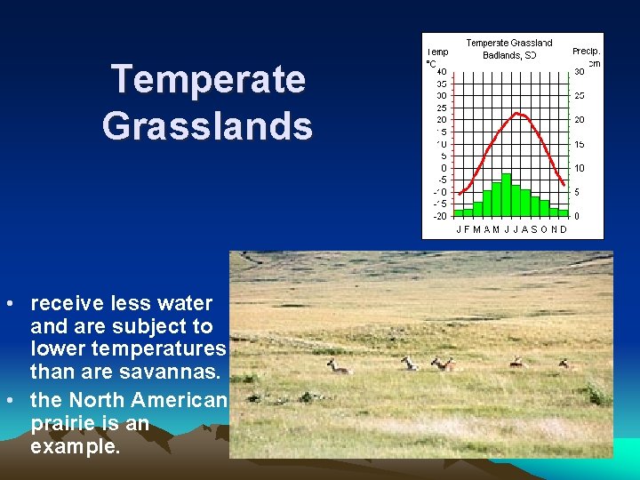 Temperate Grasslands • receive less water and are subject to lower temperatures than are