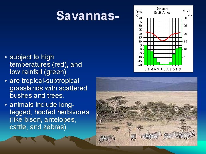 Savannas • subject to high temperatures (red), and low rainfall (green). • are tropical-subtropical
