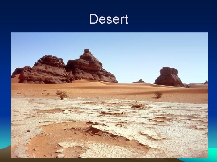 Desert • Desert- an arid region with sparse to almost nonexistent plant life. •