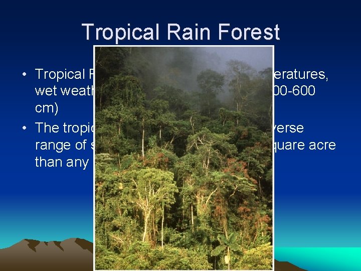 Tropical Rain Forest • Tropical Rain Forest- have warm temperatures, wet weather, and lush