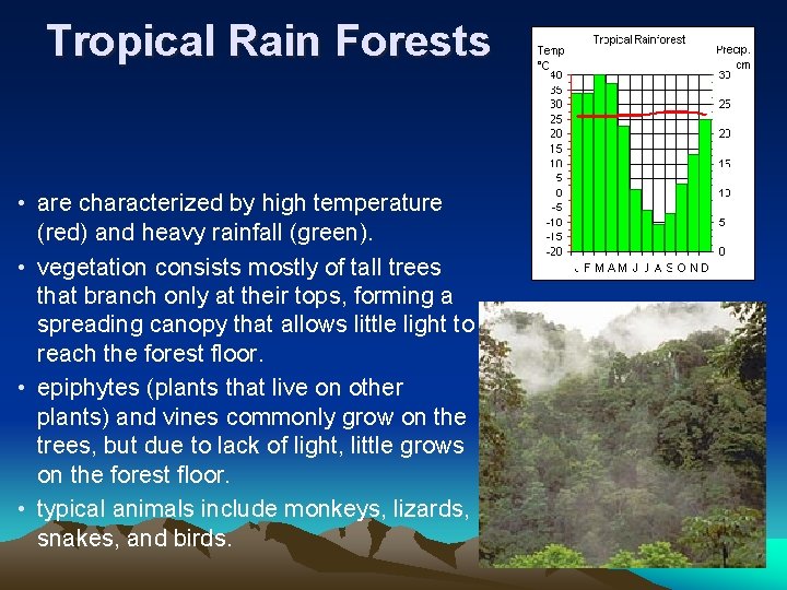Tropical Rain Forests • are characterized by high temperature (red) and heavy rainfall (green).