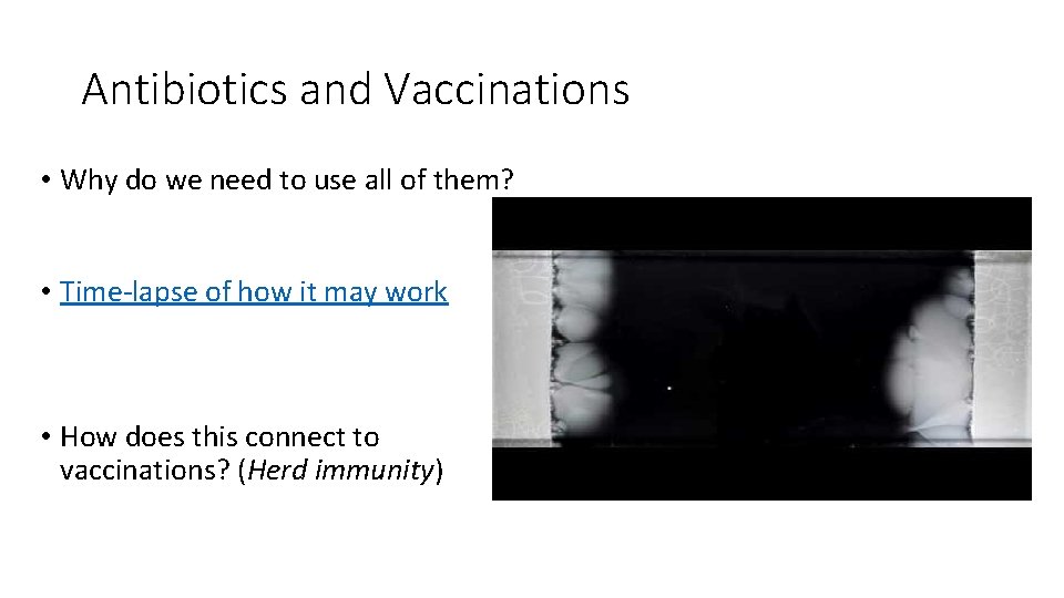 Antibiotics and Vaccinations • Why do we need to use all of them? •