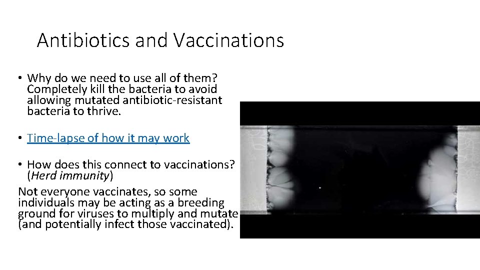 Antibiotics and Vaccinations • Why do we need to use all of them? Completely