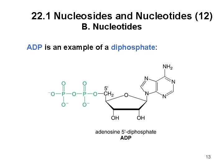 22. 1 Nucleosides and Nucleotides (12) B. Nucleotides ADP is an example of a