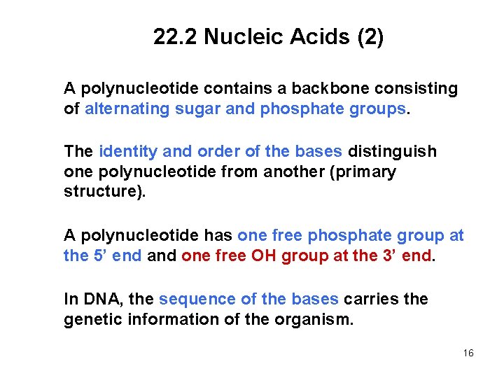 22. 2 Nucleic Acids (2) A polynucleotide contains a backbone consisting of alternating sugar