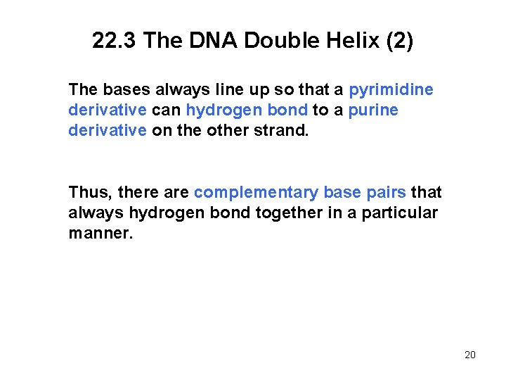 22. 3 The DNA Double Helix (2) The bases always line up so that