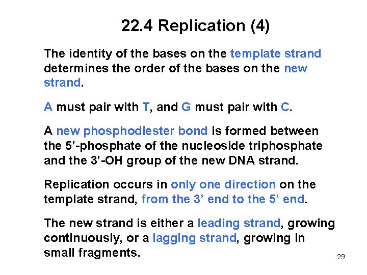 22. 4 Replication (4) The identity of the bases on the template strand determines