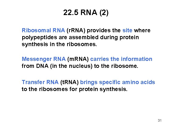 22. 5 RNA (2) Ribosomal RNA (r. RNA) provides the site where polypeptides are