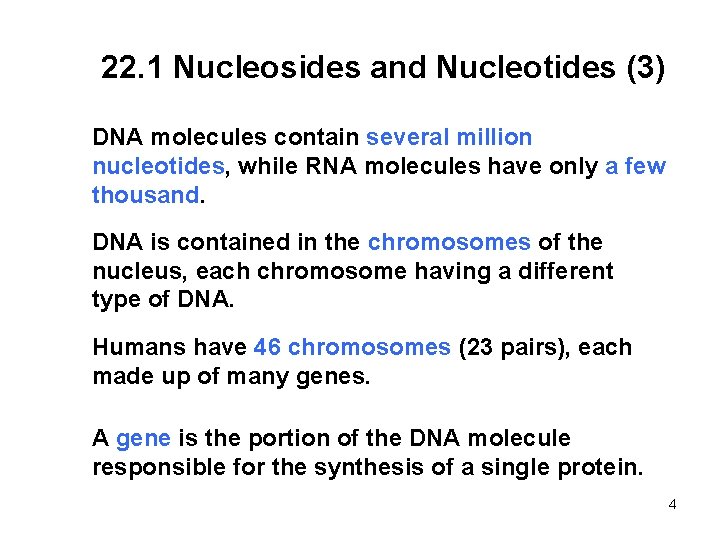 22. 1 Nucleosides and Nucleotides (3) DNA molecules contain several million nucleotides, while RNA