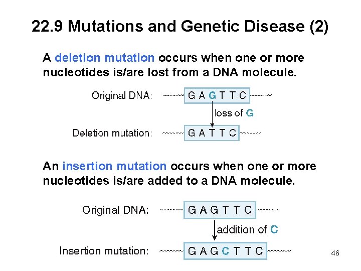 22. 9 Mutations and Genetic Disease (2) A deletion mutation occurs when one or