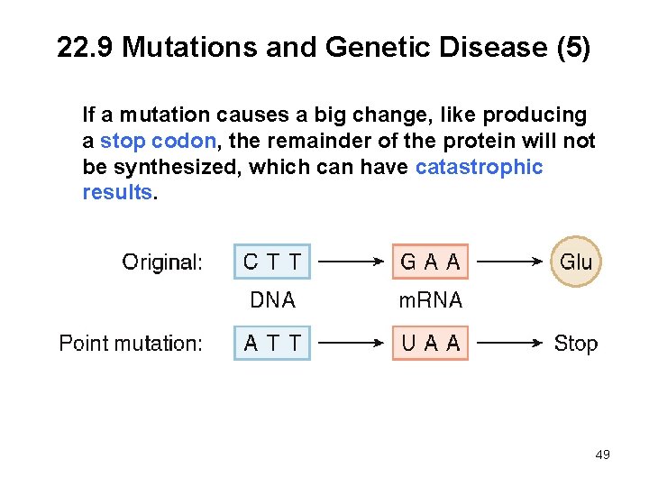 22. 9 Mutations and Genetic Disease (5) If a mutation causes a big change,