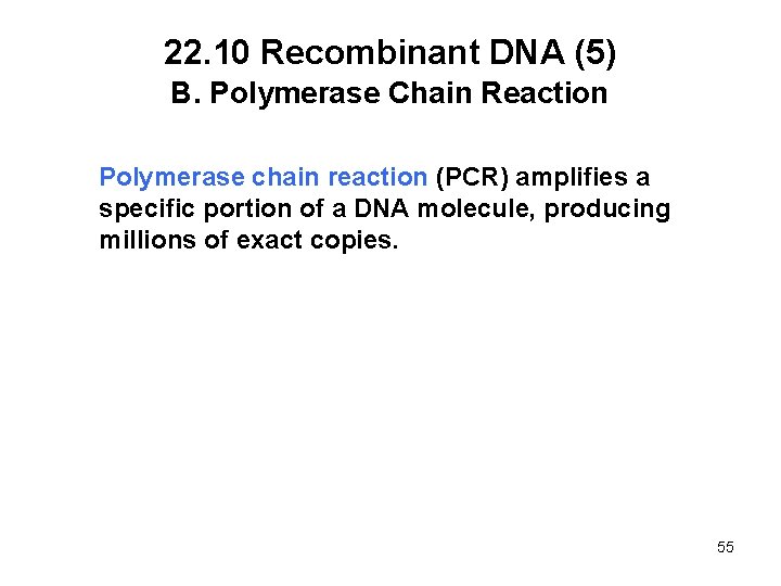 22. 10 Recombinant DNA (5) B. Polymerase Chain Reaction Polymerase chain reaction (PCR) amplifies