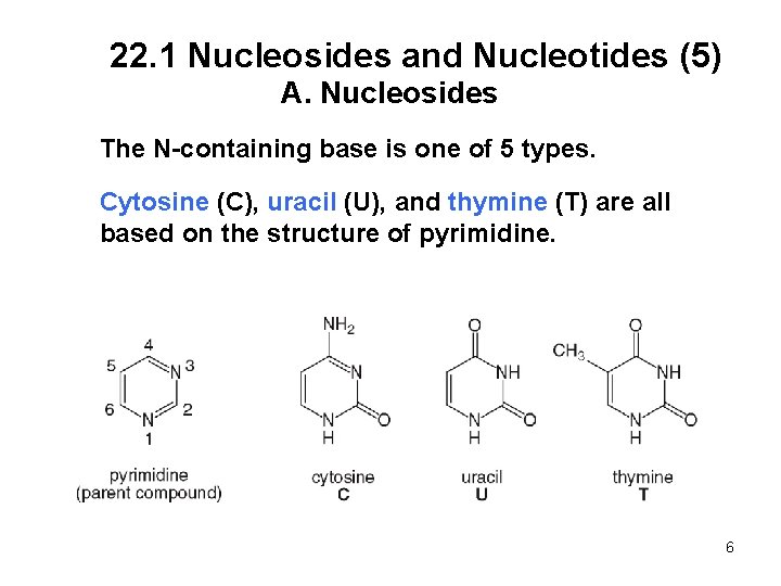 22. 1 Nucleosides and Nucleotides (5) A. Nucleosides The N-containing base is one of