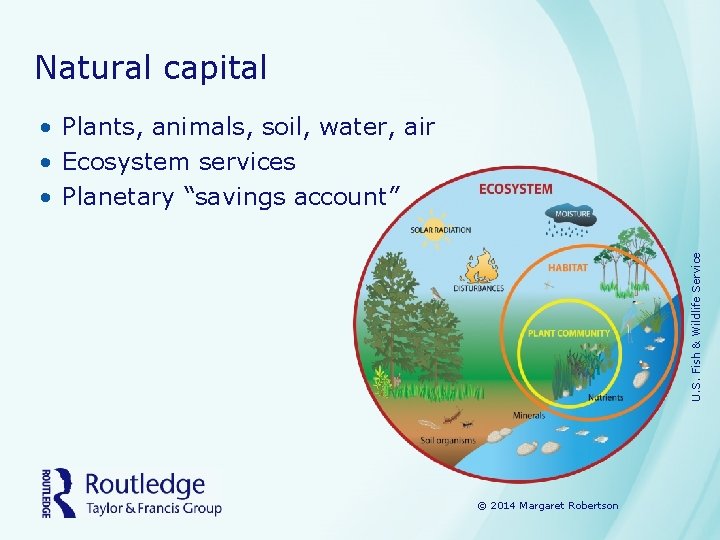 Natural capital U. S. Fish & Wildlife Service • Plants, animals, soil, water, air