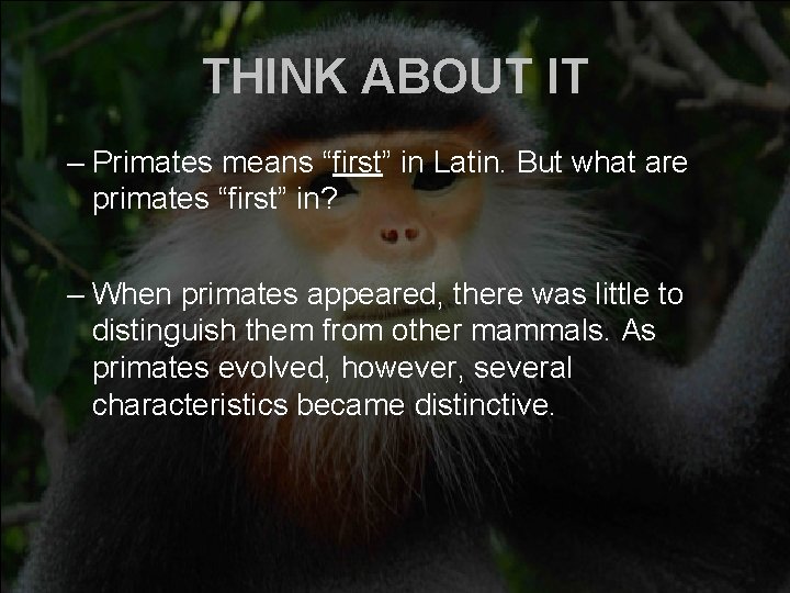 THINK ABOUT IT – Primates means “first” in Latin. But what are primates “first” THINK ABOUT IT – Primates means “first” in Latin. But what are primates “first”