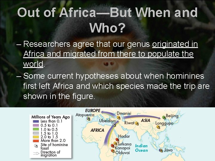 Out of Africa—But When and Who? – Researchers agree that our genus originated in Out of Africa—But When and Who? – Researchers agree that our genus originated in