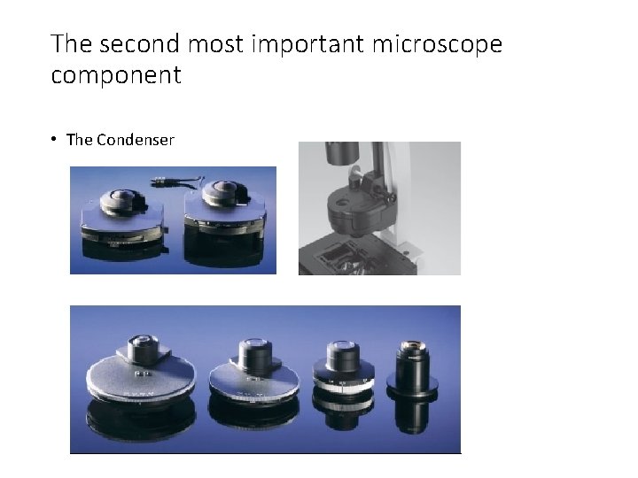 The second most important microscope component • The Condenser 