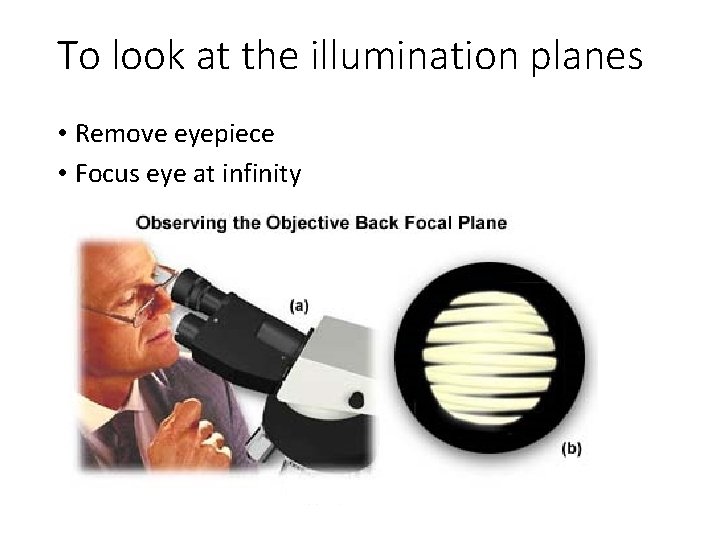 To look at the illumination planes • Remove eyepiece • Focus eye at infinity