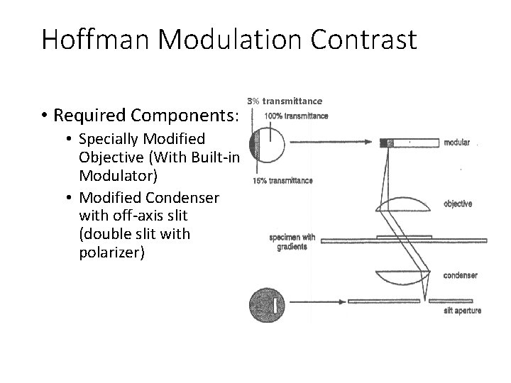 Hoffman Modulation Contrast • Required Components: • Specially Modified Objective (With Built-in Modulator) •