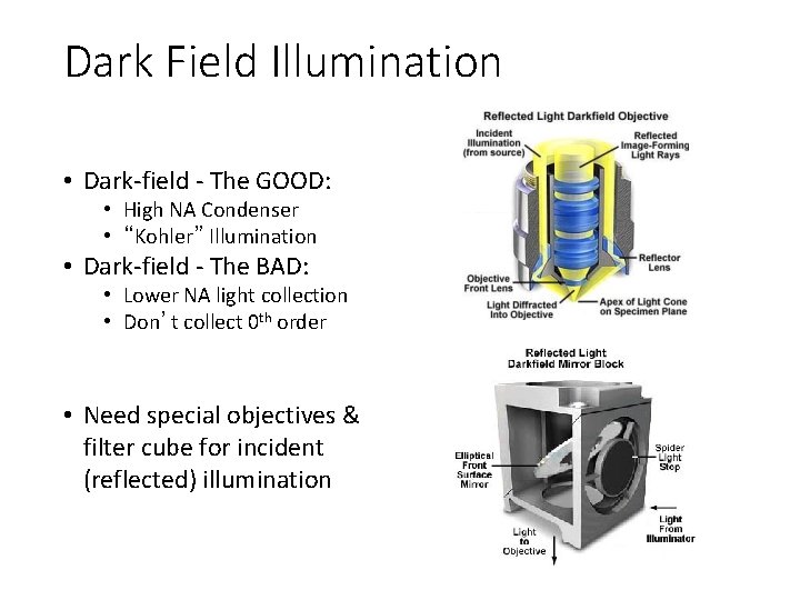 Dark Field Illumination • Dark-field - The GOOD: • High NA Condenser • “Kohler”