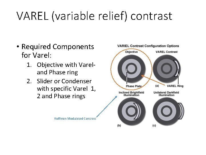 VAREL (variable relief) contrast • Required Components for Varel: 1. Objective with Vareland Phase