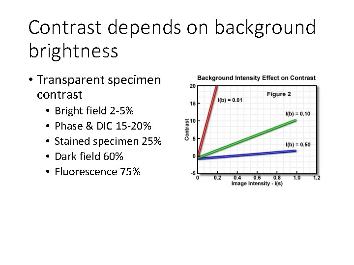 Contrast depends on background brightness • Transparent specimen contrast • • • Bright field