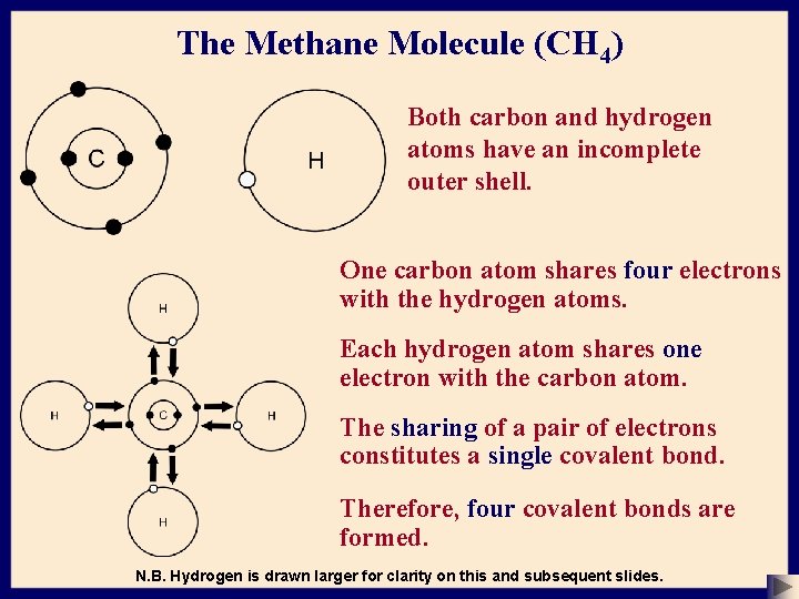 The Methane Molecule (CH 4) Both carbon and hydrogen atoms have an incomplete outer