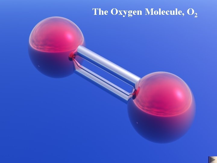 The Oxygen Molecule, O 2 