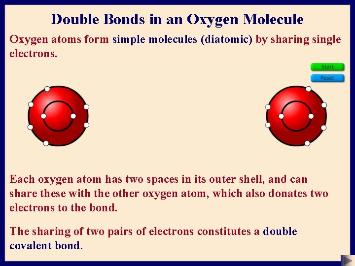 Double Bonds in an Oxygen Molecule Oxygen atoms form simple molecules (diatomic) by sharing