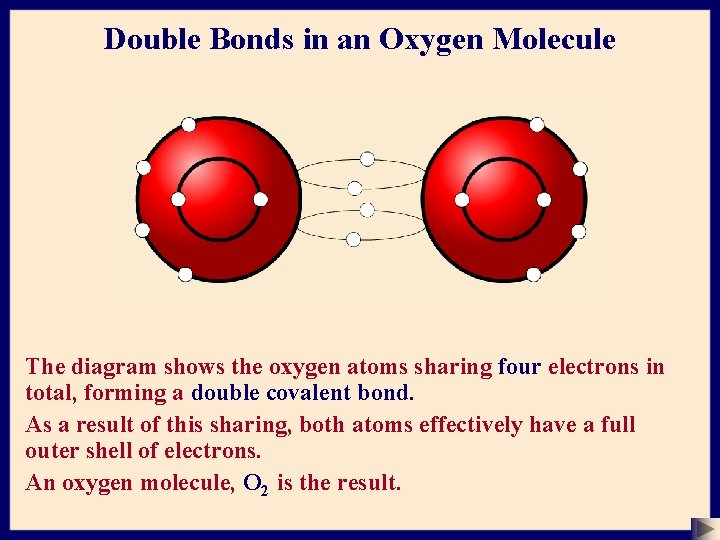 Double Bonds in an Oxygen Molecule The diagram shows the oxygen atoms sharing four