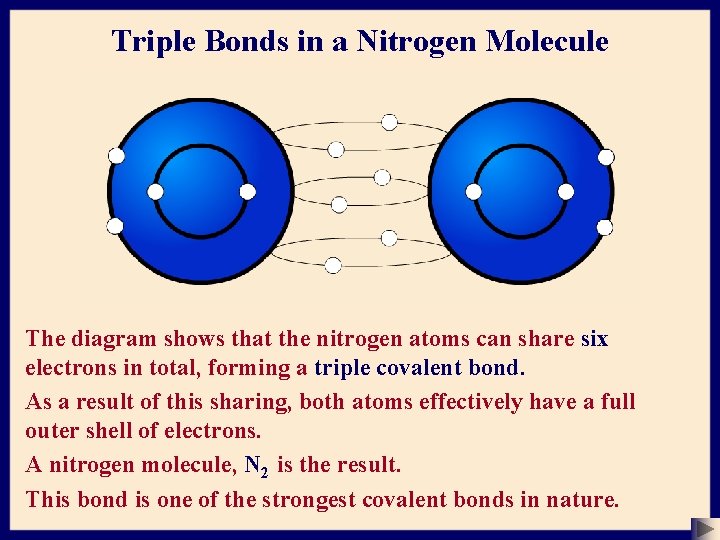 Triple Bonds in a Nitrogen Molecule The diagram shows that the nitrogen atoms can