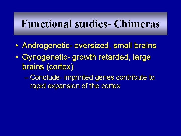 Functional studies- Chimeras • Androgenetic- oversized, small brains • Gynogenetic- growth retarded, large brains