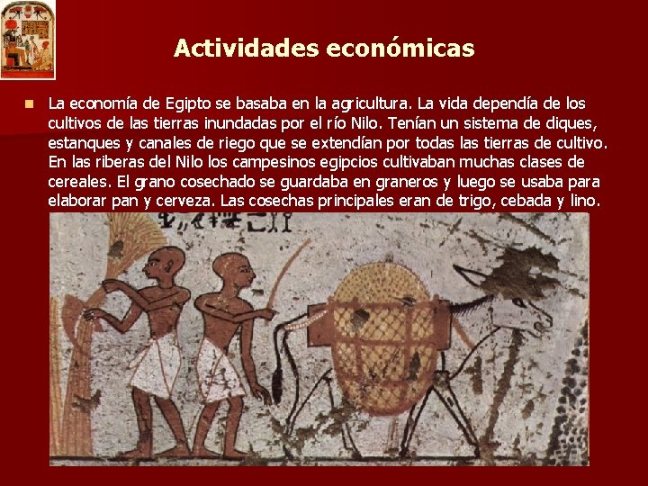 Actividades económicas n La economía de Egipto se basaba en la agricultura. La vida