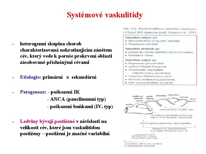 Systémové vaskulitidy § § heterogenní skupina chorob charakterizovaná nekrotizujícím zánětem cév, který vede k