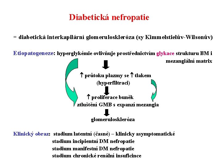 Diabetická nefropatie = diabetická interkapilární glomeruloskleróza (sy Kimmelstielův-Wilsonův) Etiopatogeneze: hyperglykémie ovlivňuje prostřednictvím glykace strukturu