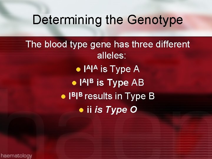 Determining the Genotype The blood type gene has three different alleles: l IAIA is