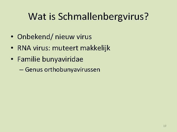 Wat is Schmallenbergvirus? • Onbekend/ nieuw virus • RNA virus: muteert makkelijk • Familie
