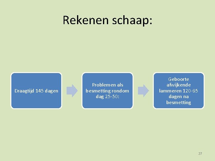 Rekenen schaap: Draagtijd 145 dagen Problemen als besmetting rondom dag 25 -50: Geboorte afwijkende