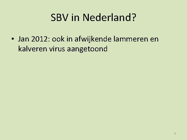 SBV in Nederland? • Jan 2012: ook in afwijkende lammeren en kalveren virus aangetoond