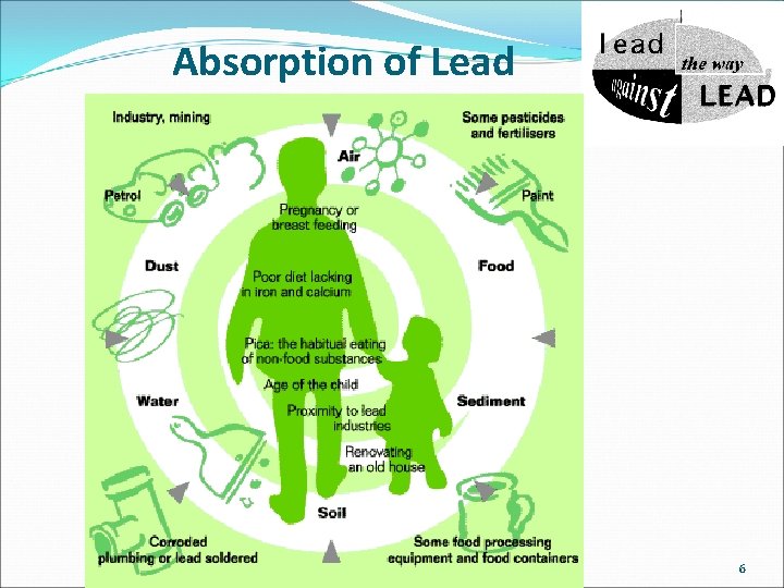 Absorption of Lead 6 