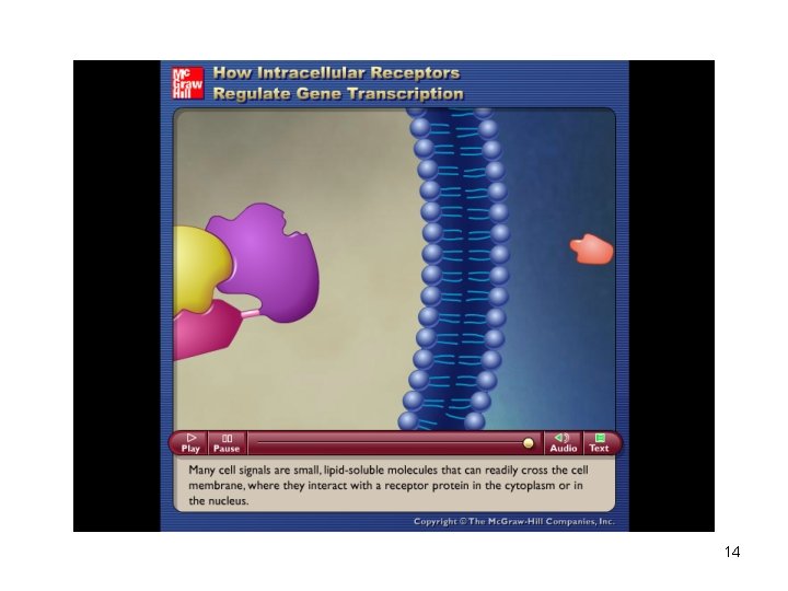 Please note that due to differing operating systems, some animations will not appear until