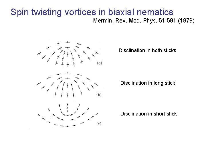 Spin twisting vortices in biaxial nematics Mermin, Rev. Mod. Phys. 51: 591 (1979) Disclination