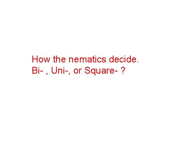 How the nematics decide. Bi- , Uni-, or Square- ? 