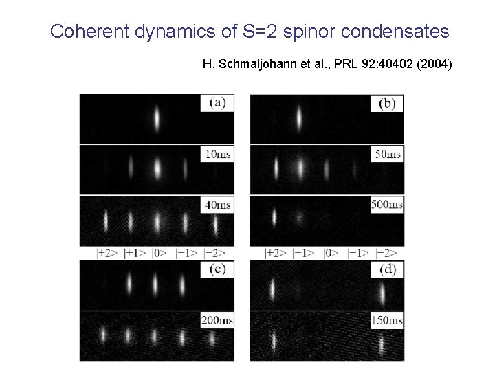 Coherent dynamics of S=2 spinor condensates H. Schmaljohann et al. , PRL 92: 40402
