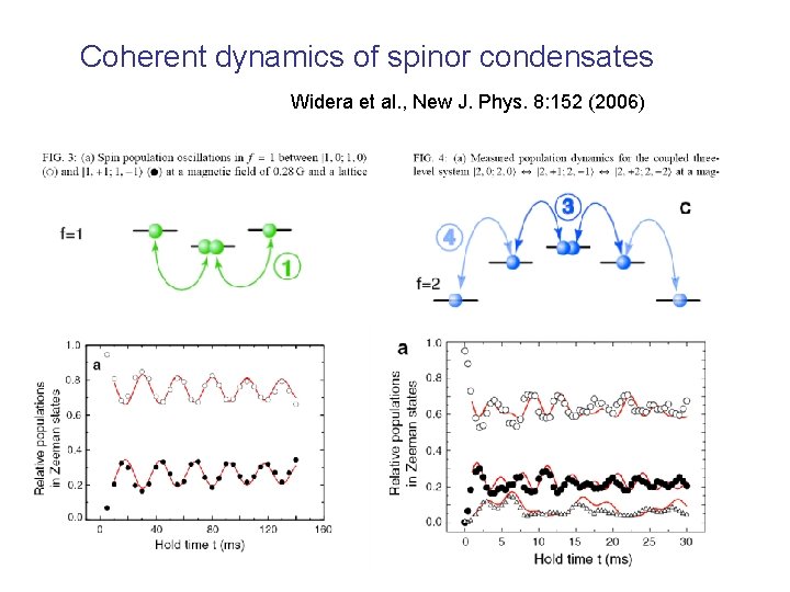 Coherent dynamics of spinor condensates Widera et al. , New J. Phys. 8: 152