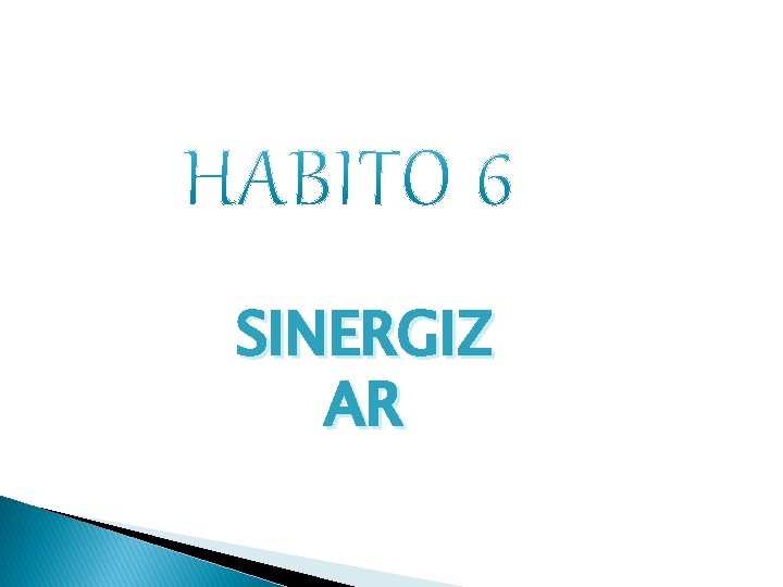 SINERGIZ AR 