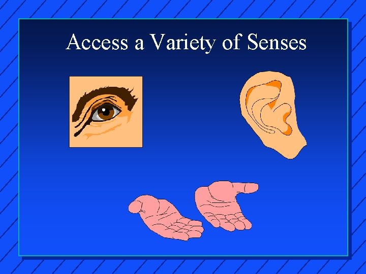 Access a Variety of Senses 